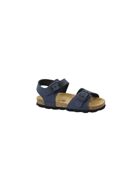 gid://shopify/Product/15913036120396_1