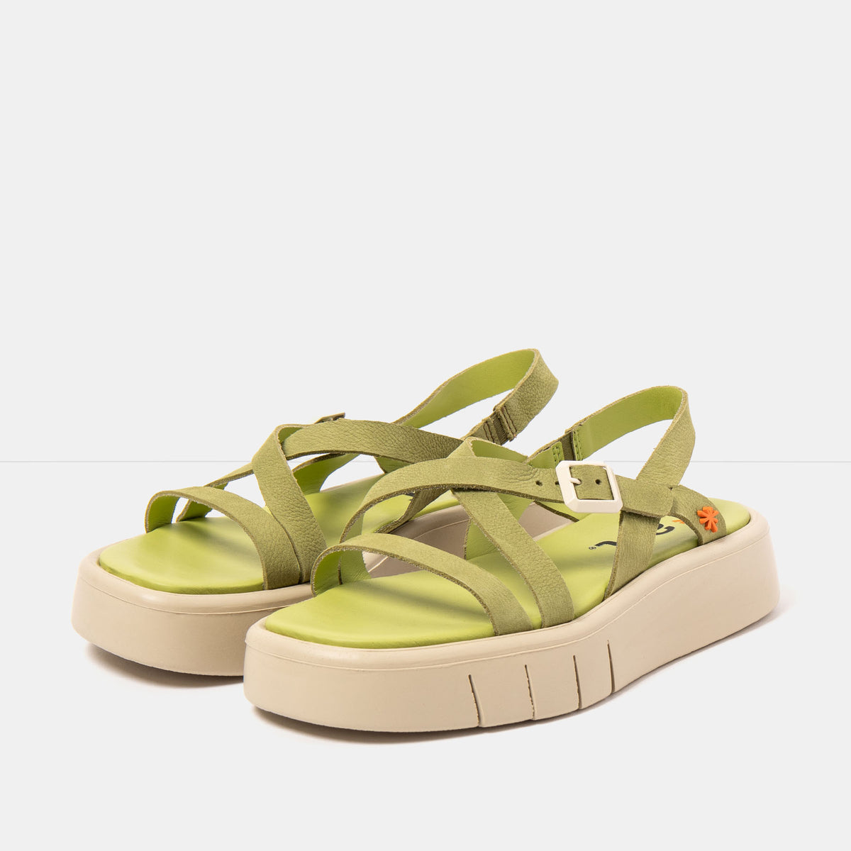 gid://shopify/Product/16172970901836_2