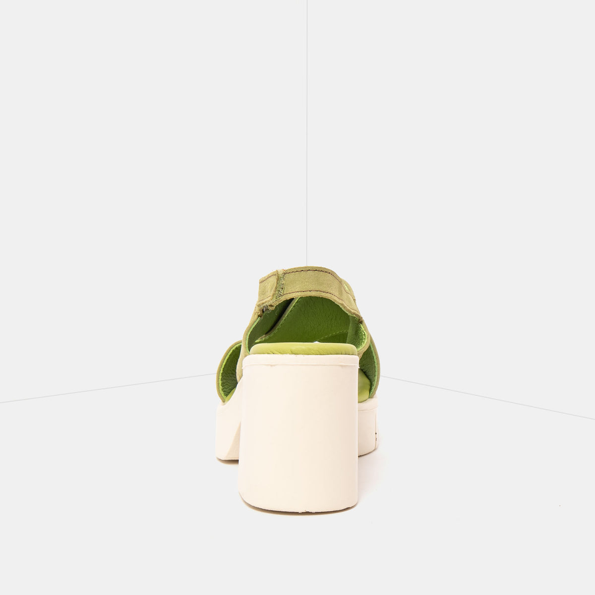 gid://shopify/Product/16173032538444_5