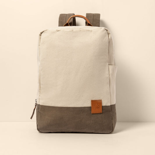 gid://shopify/Product/15700293583180_1