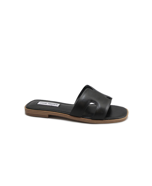 gid://shopify/Product/15737654444364_1