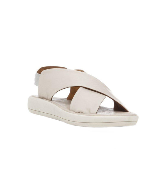 gid://shopify/Product/15740136096076_1