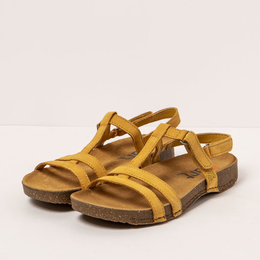gid://shopify/Product/16171934613836_2