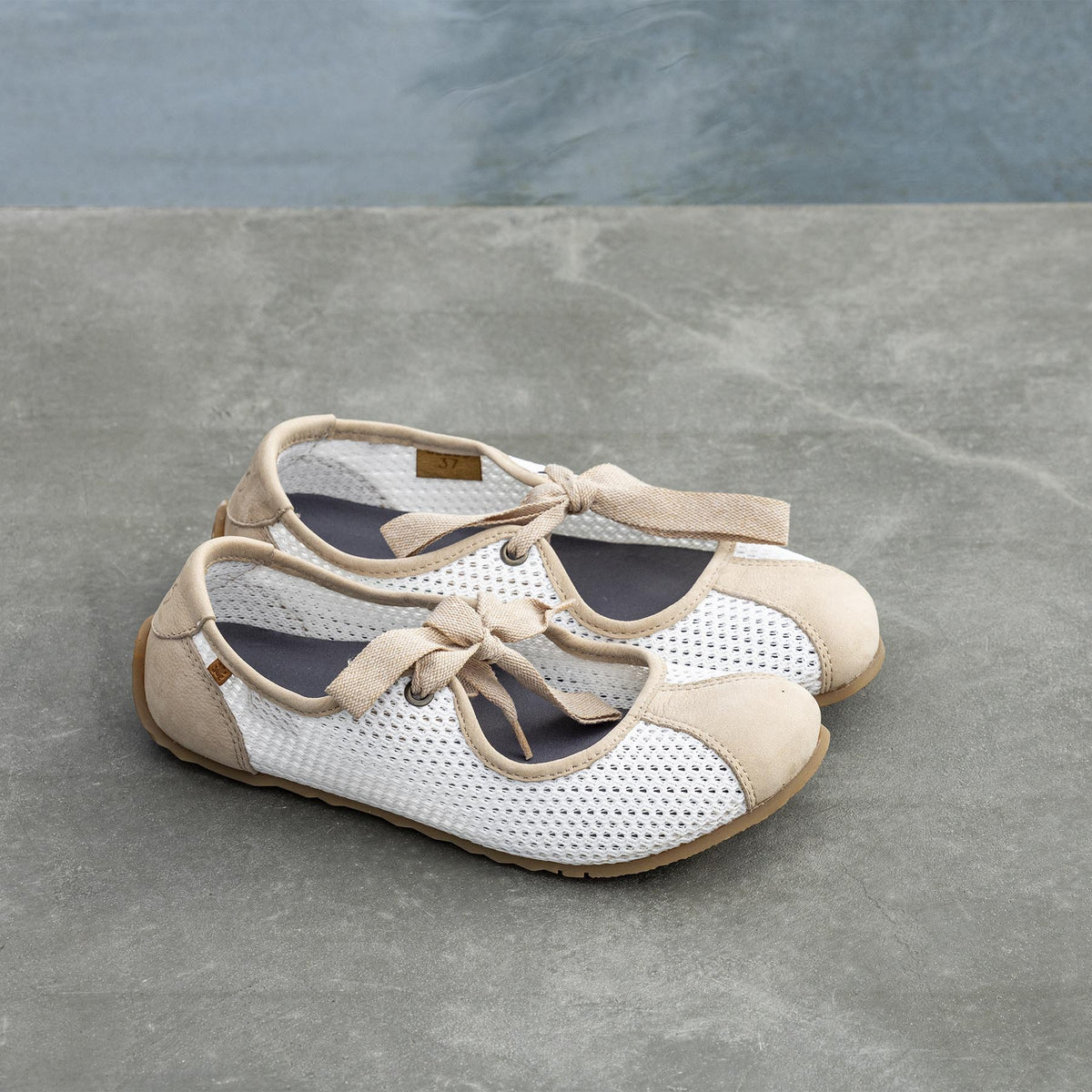 gid://shopify/Product/16124828844364_7