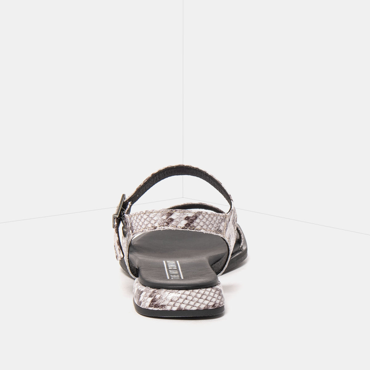 gid://shopify/Product/16173037060428_5