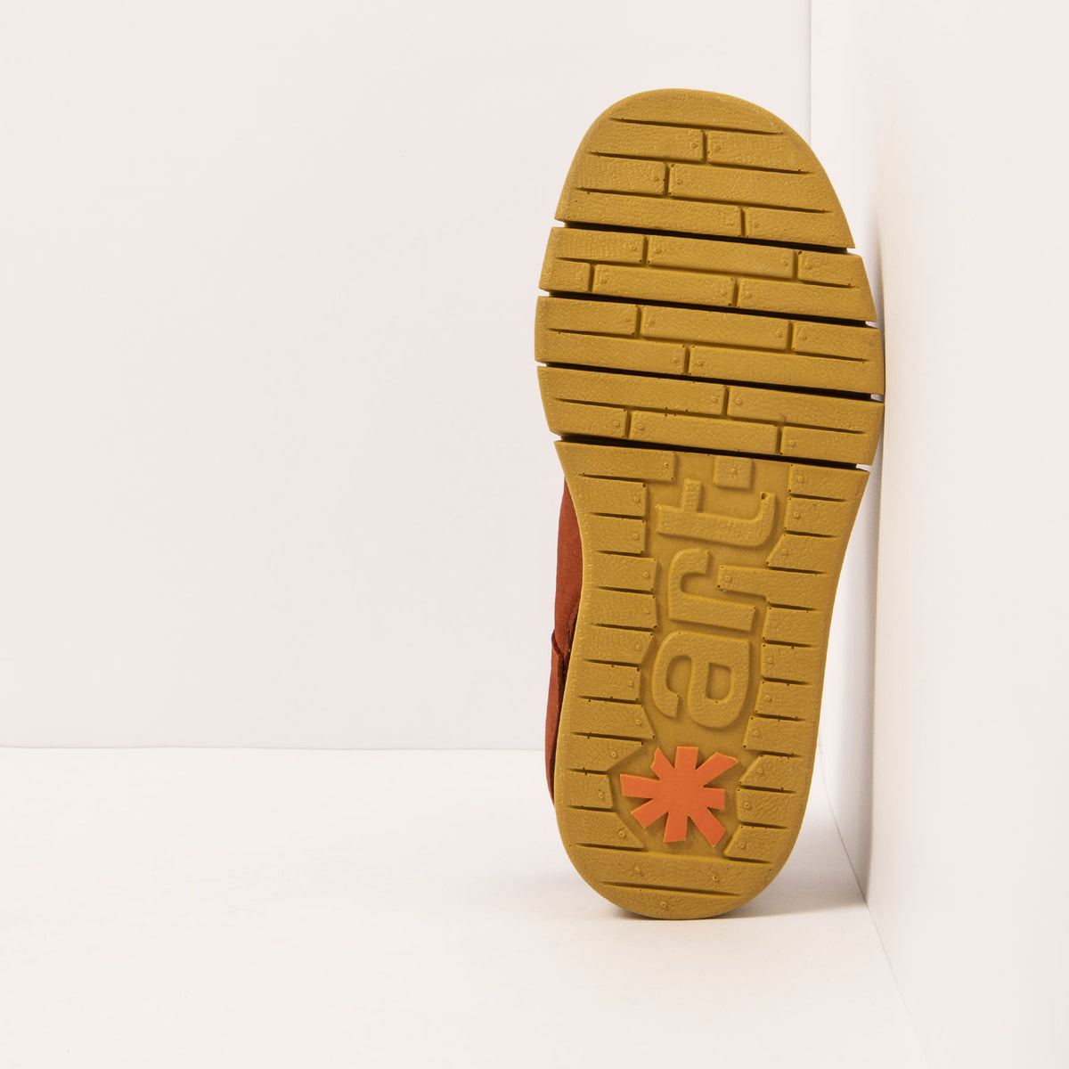gid://shopify/Product/16172069716300_3
