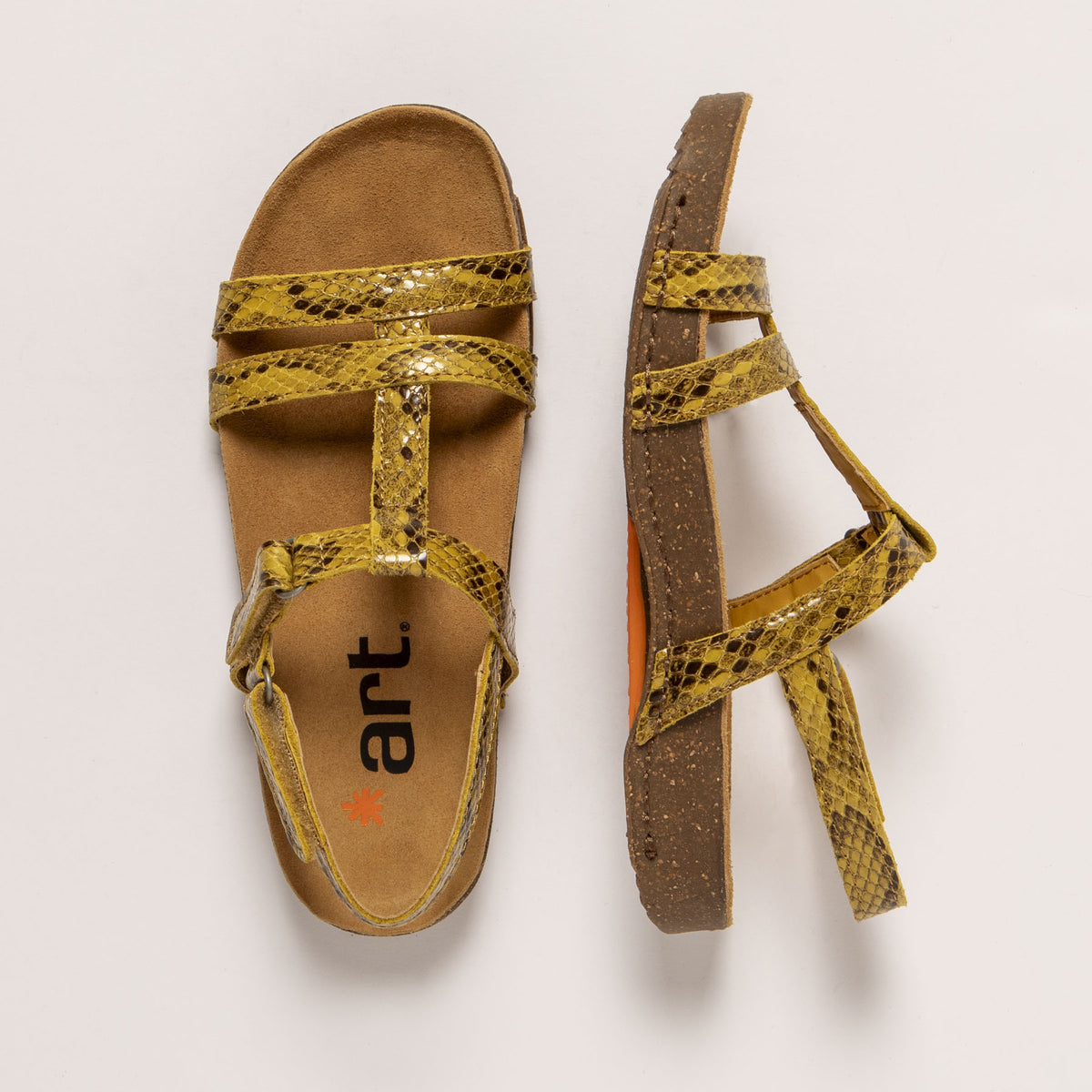 gid://shopify/Product/16171949228364_4
