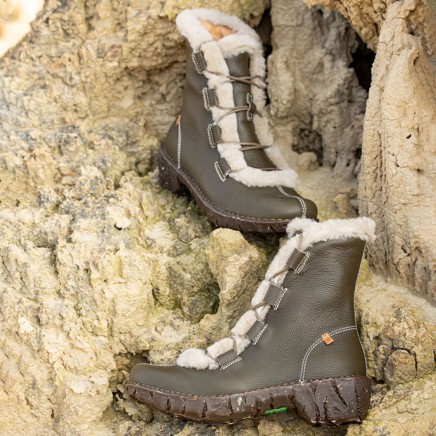 gid://shopify/Product/15699964920140_7