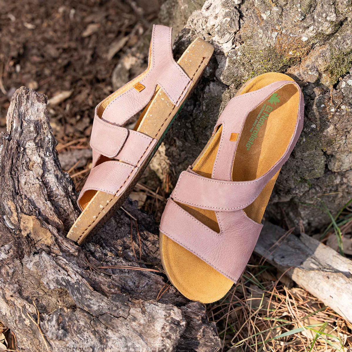 gid://shopify/Product/16124779037004_7