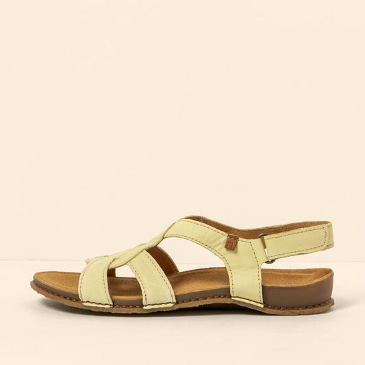 gid://shopify/Product/15791881158988_1