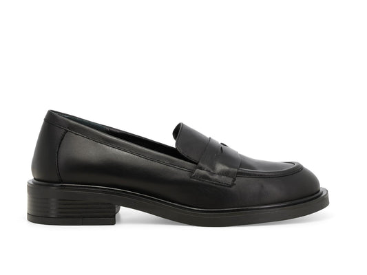 gid://shopify/Product/16118334882124_1