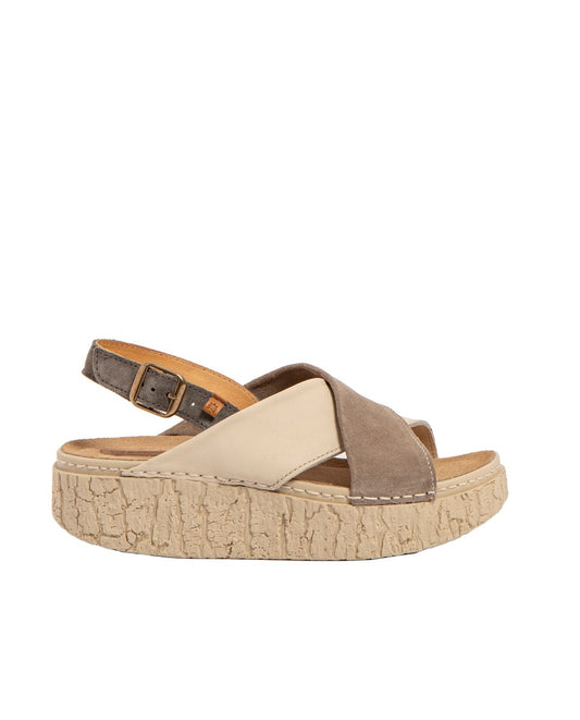 gid://shopify/Product/15700198129996_1