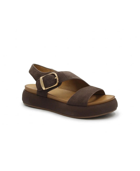 gid://shopify/Product/15738664223052_1