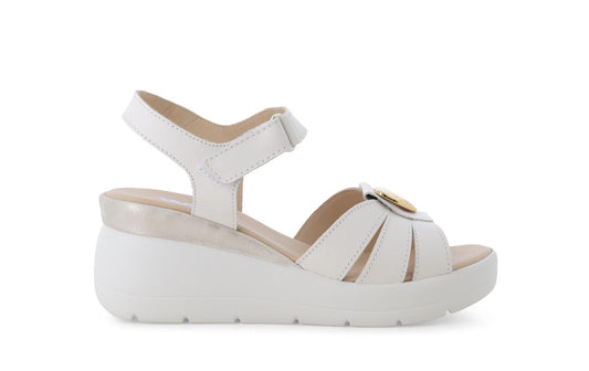 gid://shopify/Product/15761199857996_1