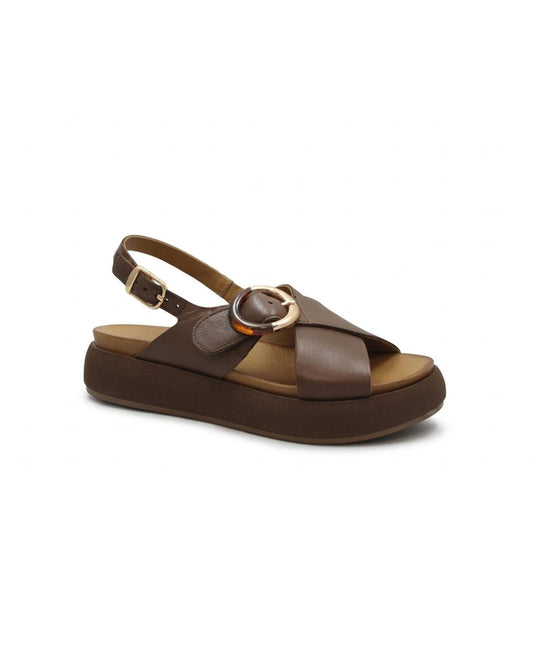 gid://shopify/Product/15738665009484_1