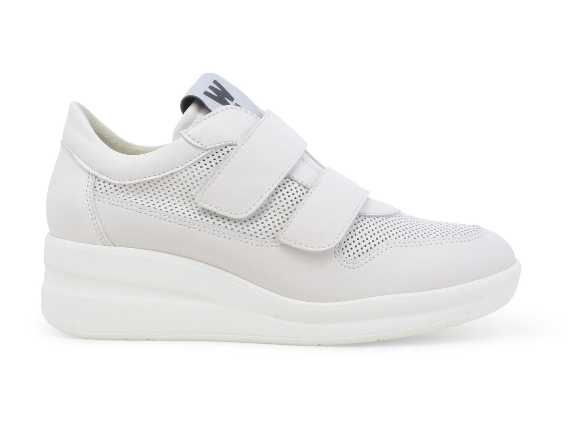 gid://shopify/Product/15685809865036_1