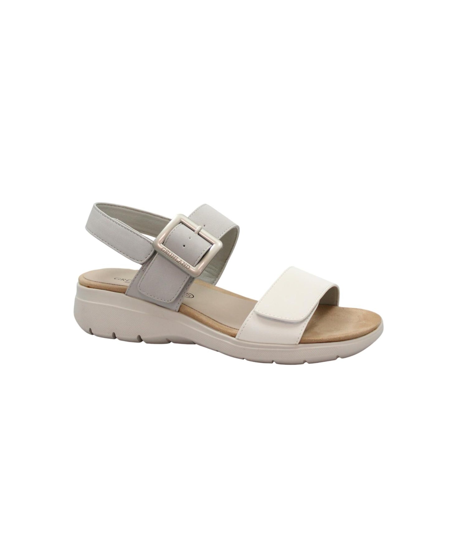 gid://shopify/Product/16028551348556_1