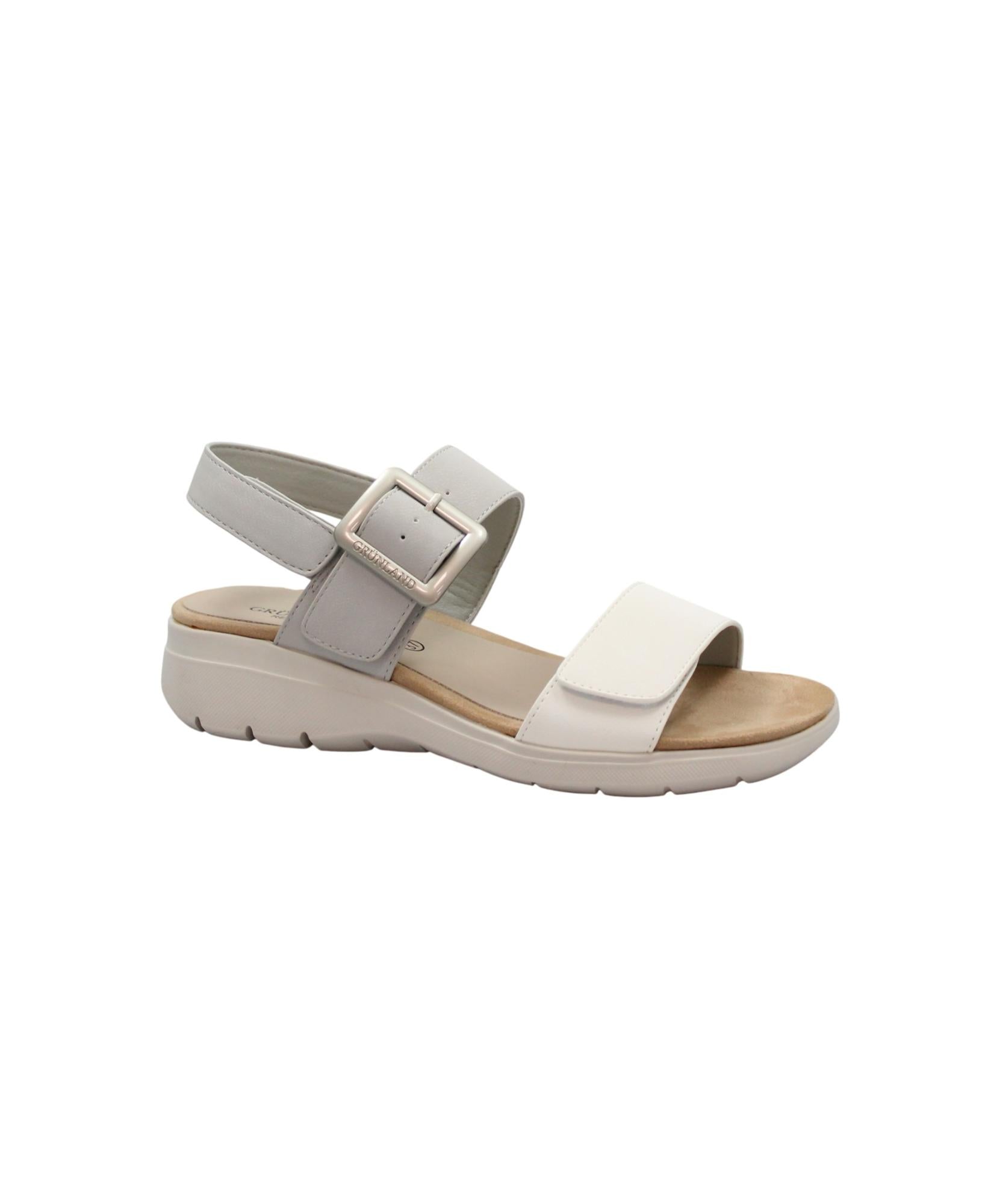 gid://shopify/Product/16028551348556_1