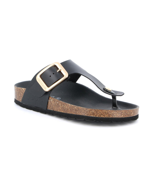 gid://shopify/Product/15740138258764_3