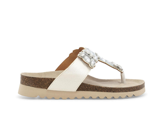 gid://shopify/Product/15686109462860_1