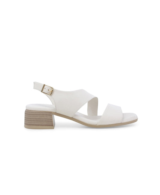gid://shopify/Product/15965947756876_1