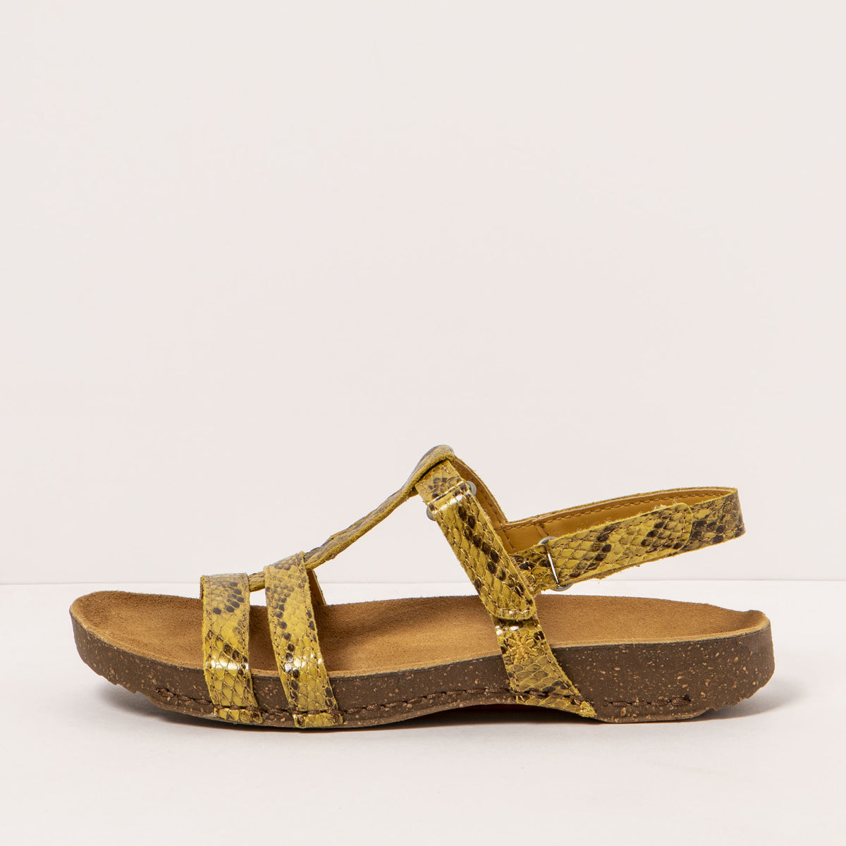 gid://shopify/Product/16171949228364_1