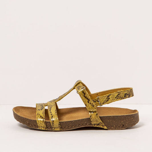 gid://shopify/Product/16171949228364_1