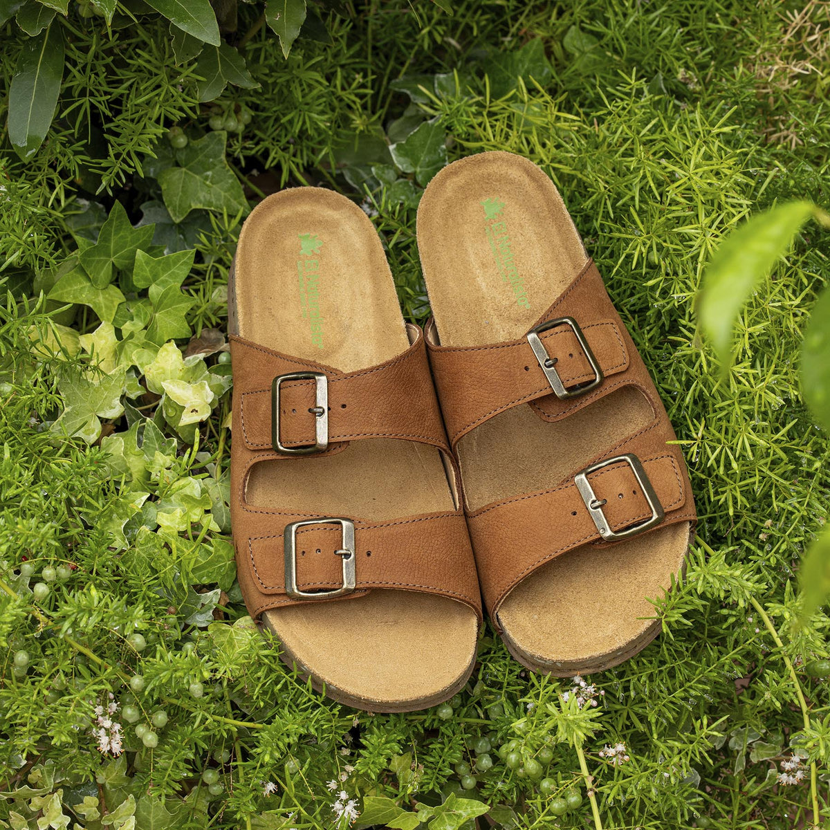 gid://shopify/Product/16124763472204_7
