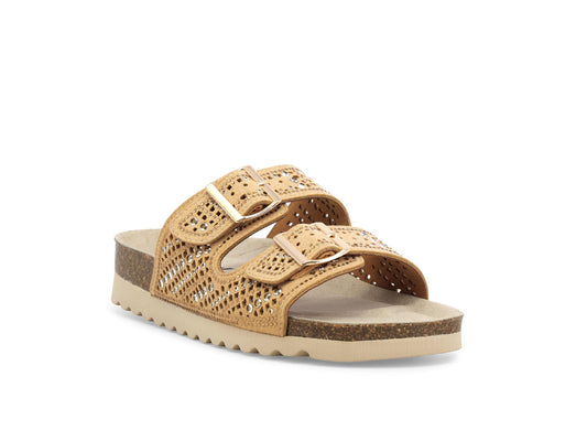 gid://shopify/Product/15686101205324_2