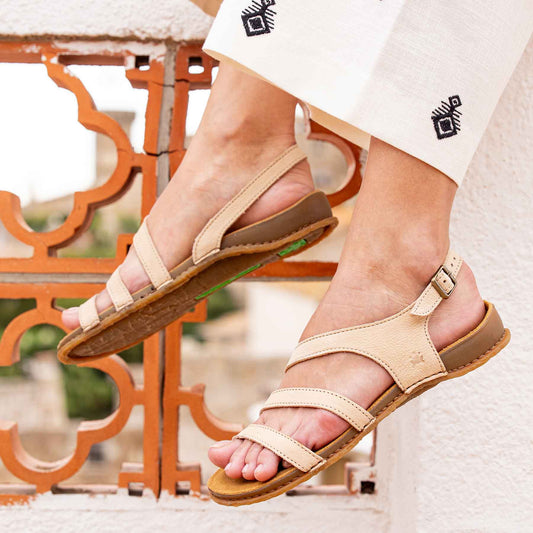 gid://shopify/Product/15700523549004_6