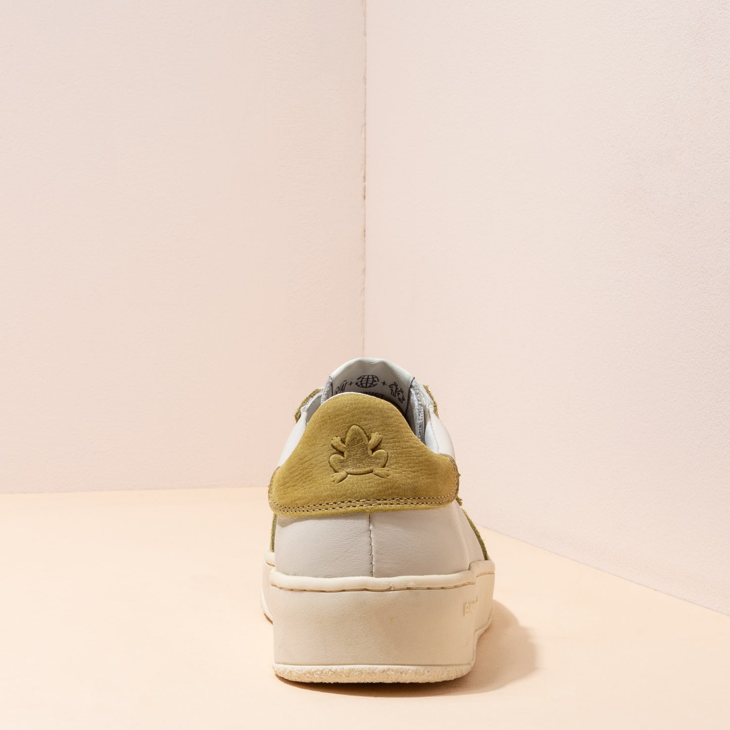 gid://shopify/Product/15700096024908_8