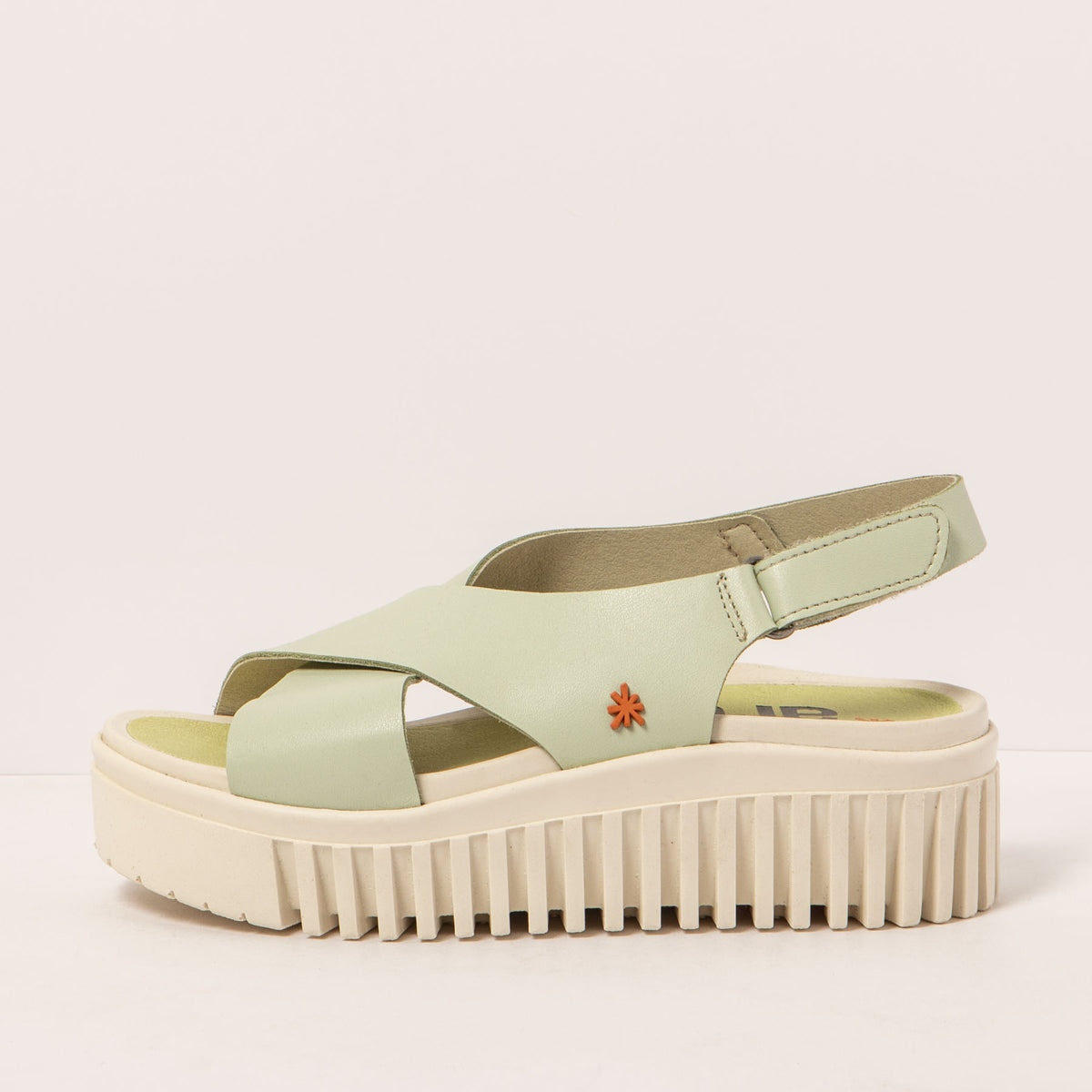 gid://shopify/Product/16172012732748_1