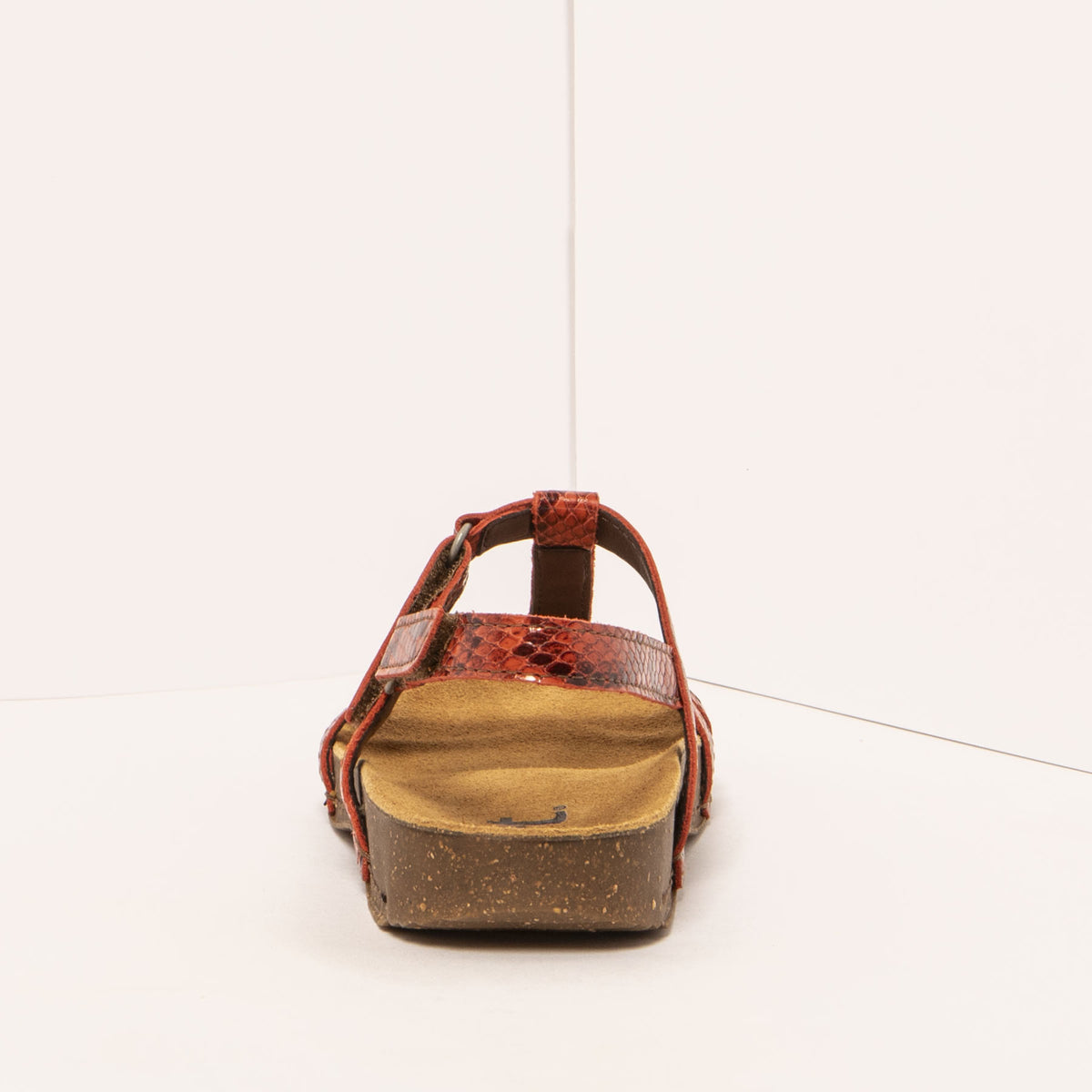 gid://shopify/Product/16171939594572_5