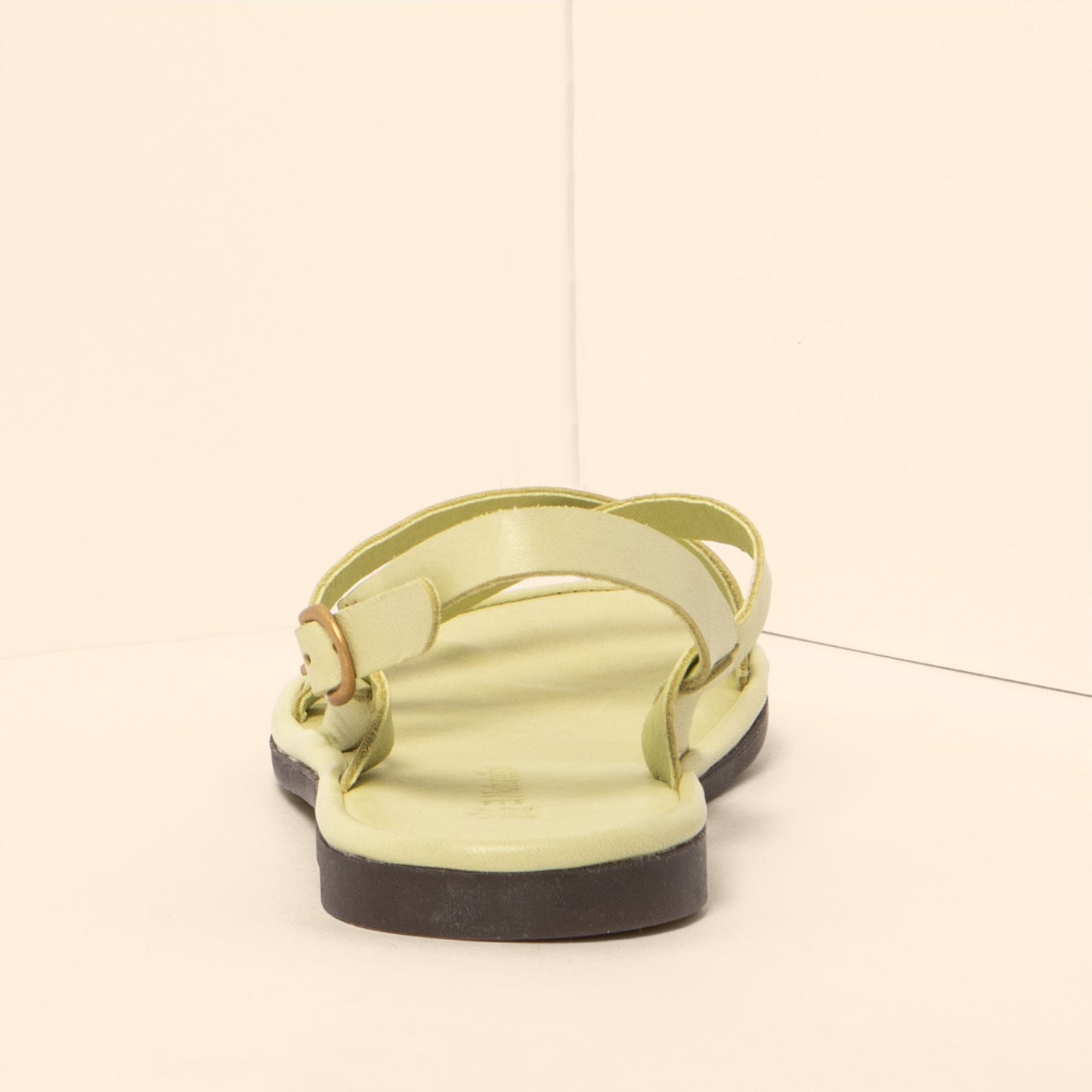 gid://shopify/Product/15700474036556_5