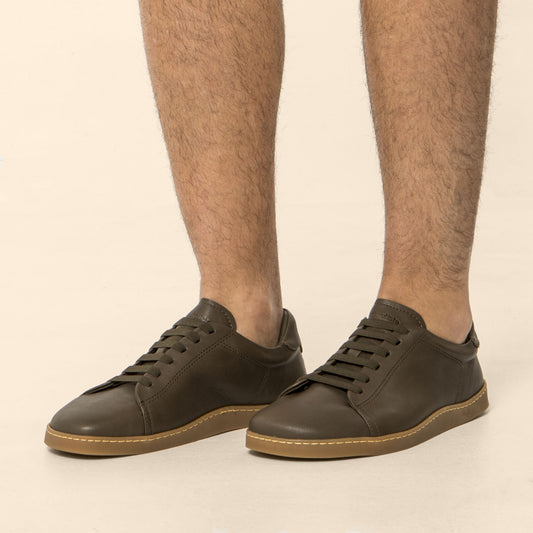gid://shopify/Product/15791911600460_2