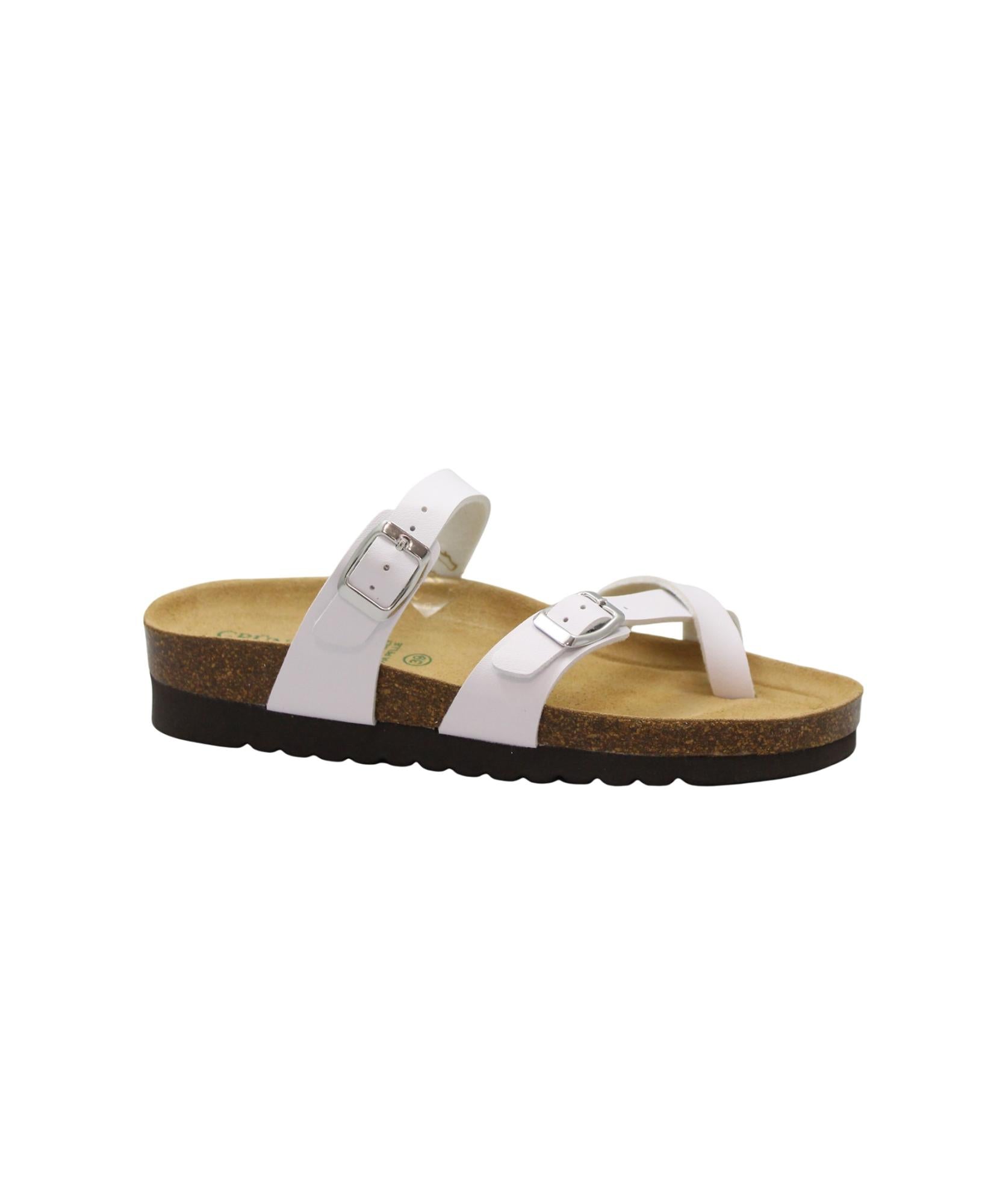 gid://shopify/Product/16028565340492_1