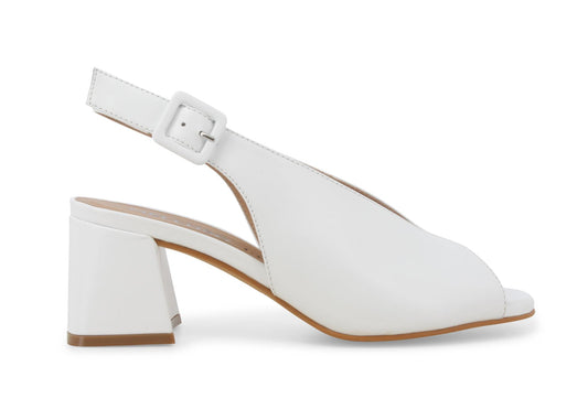 gid://shopify/Product/15685768610124_1