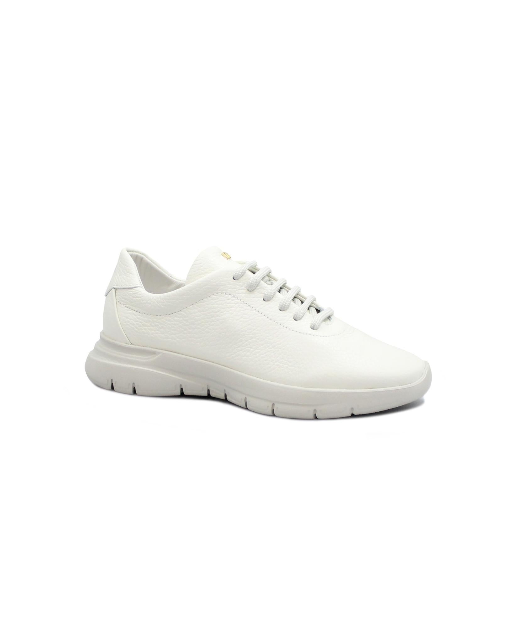 gid://shopify/Product/15738256556364_1
