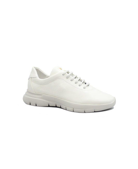 gid://shopify/Product/15738256556364_1