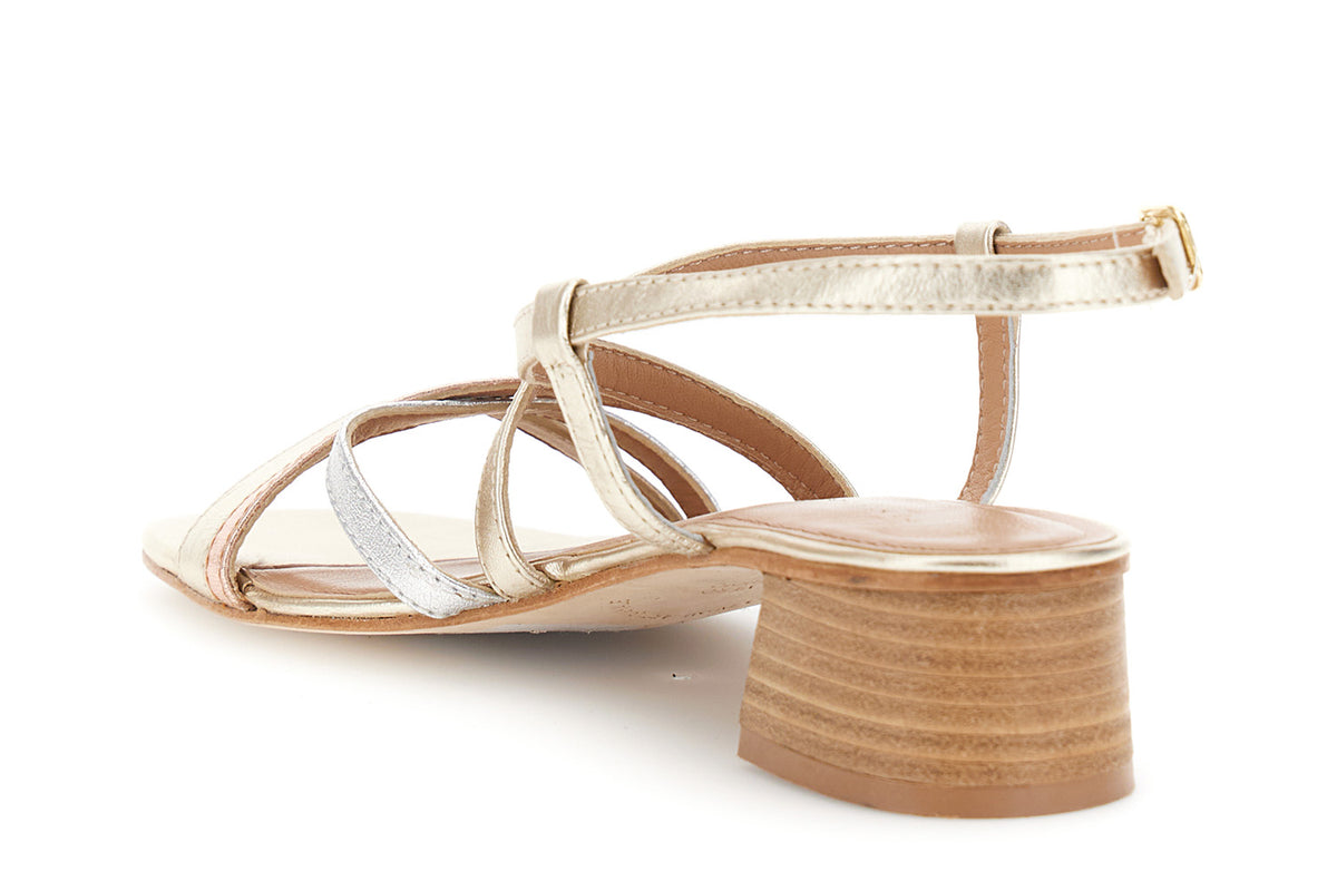 gid://shopify/Product/16176322576716_2