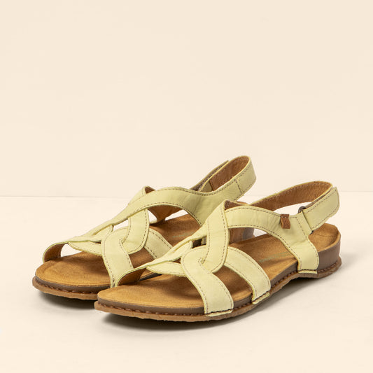 gid://shopify/Product/15791881158988_2