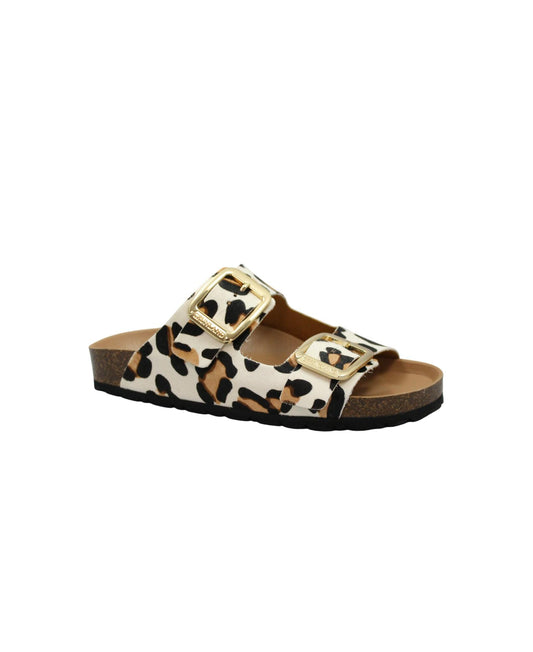 gid://shopify/Product/15913045000524_1