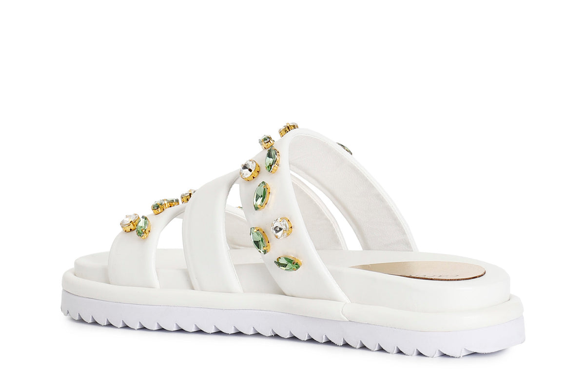 gid://shopify/Product/16122000671052_2
