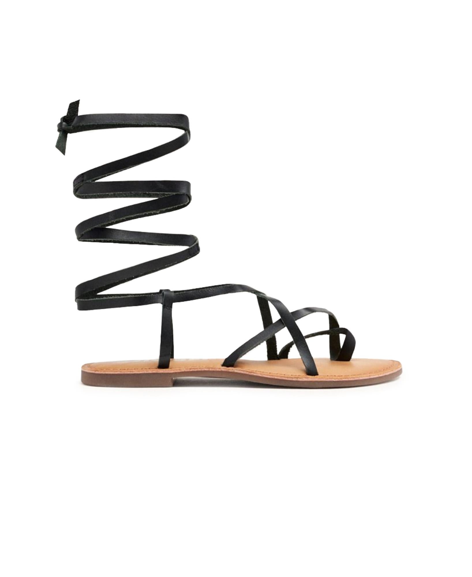 gid://shopify/Product/15738616512844_1