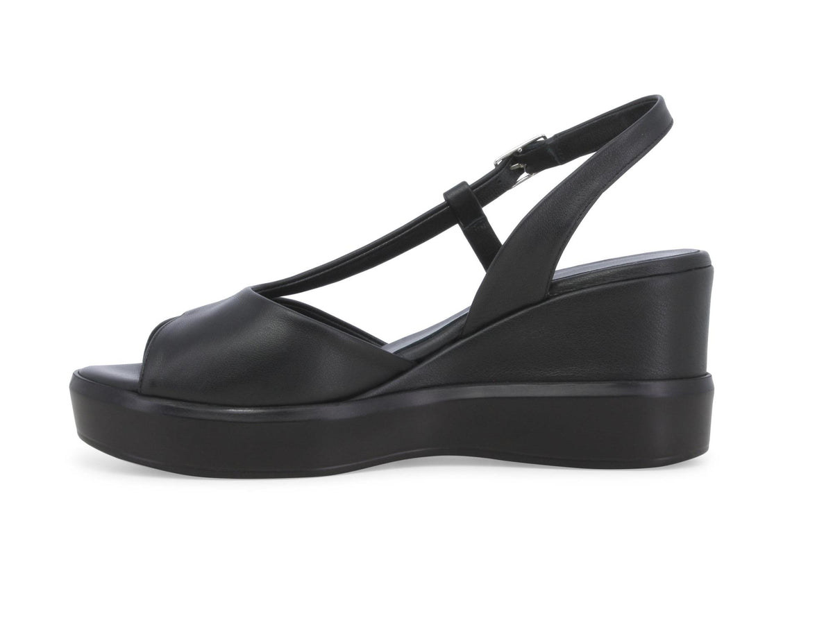 gid://shopify/Product/15761181278540_4