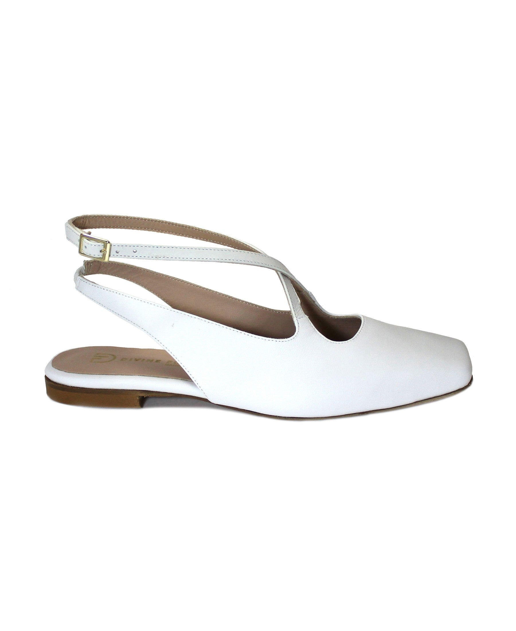 gid://shopify/Product/15740093301068_1