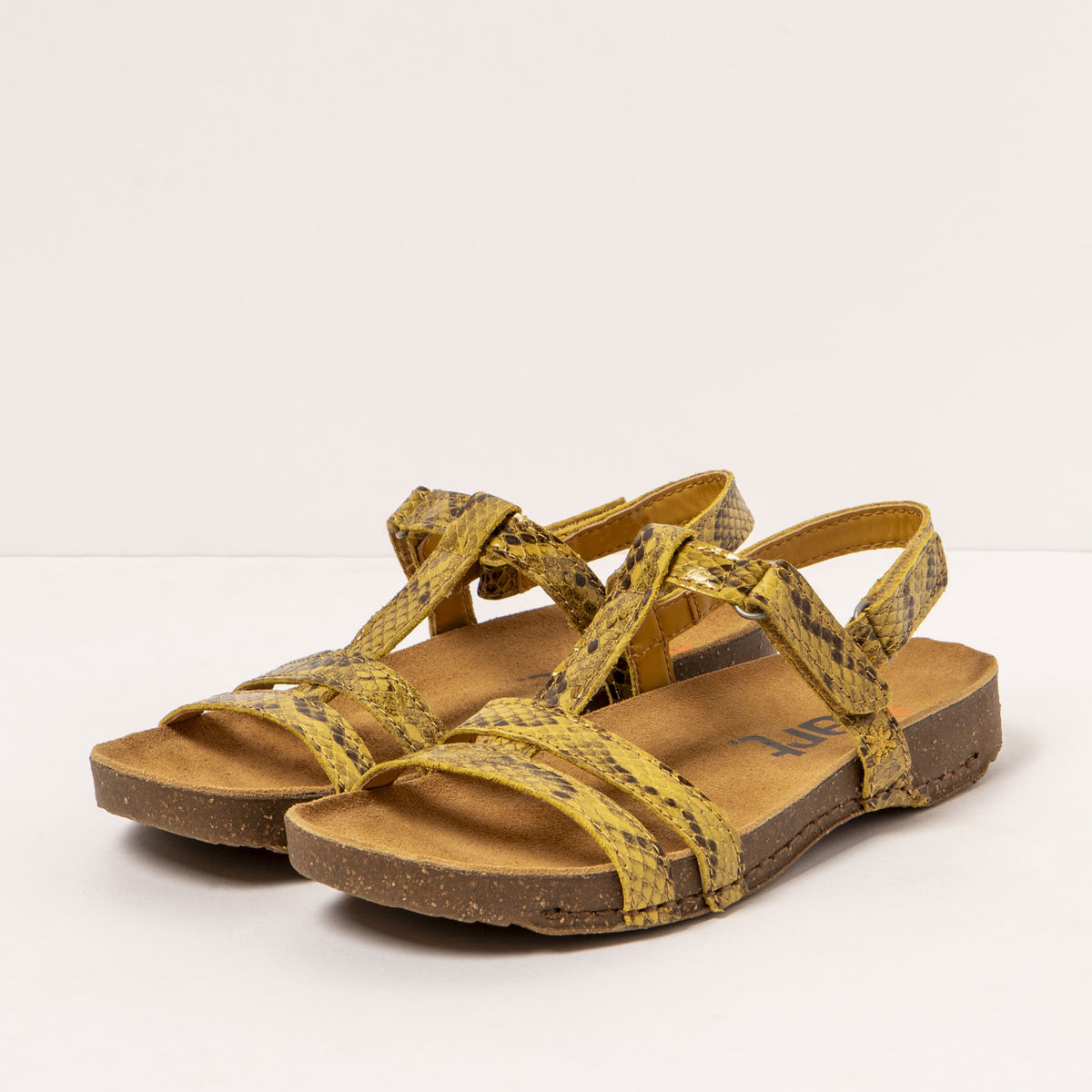 gid://shopify/Product/16171949228364_2