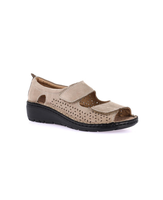 gid://shopify/Product/15939093070156_1