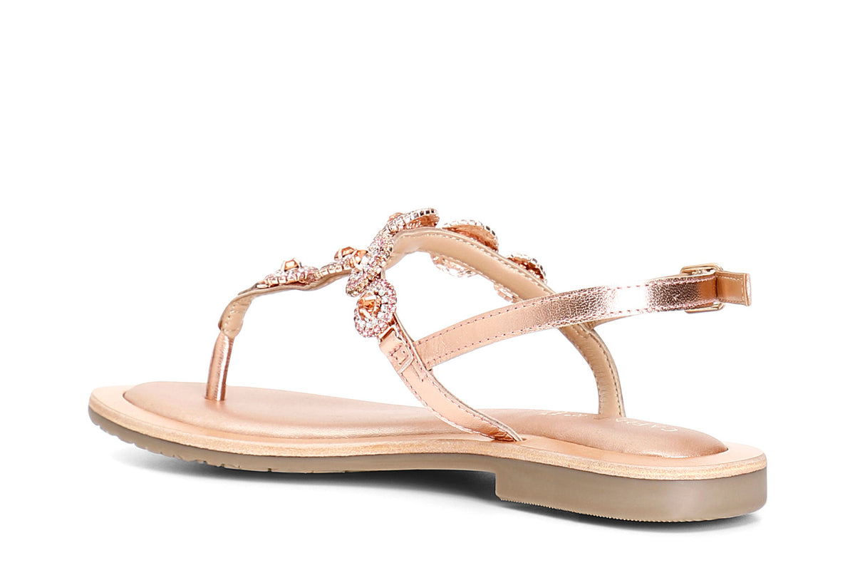 gid://shopify/Product/16121915900236_2