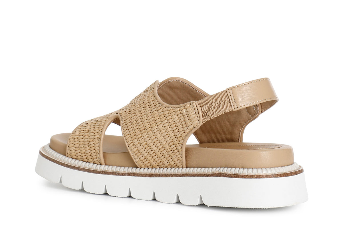 gid://shopify/Product/16175589523788_2